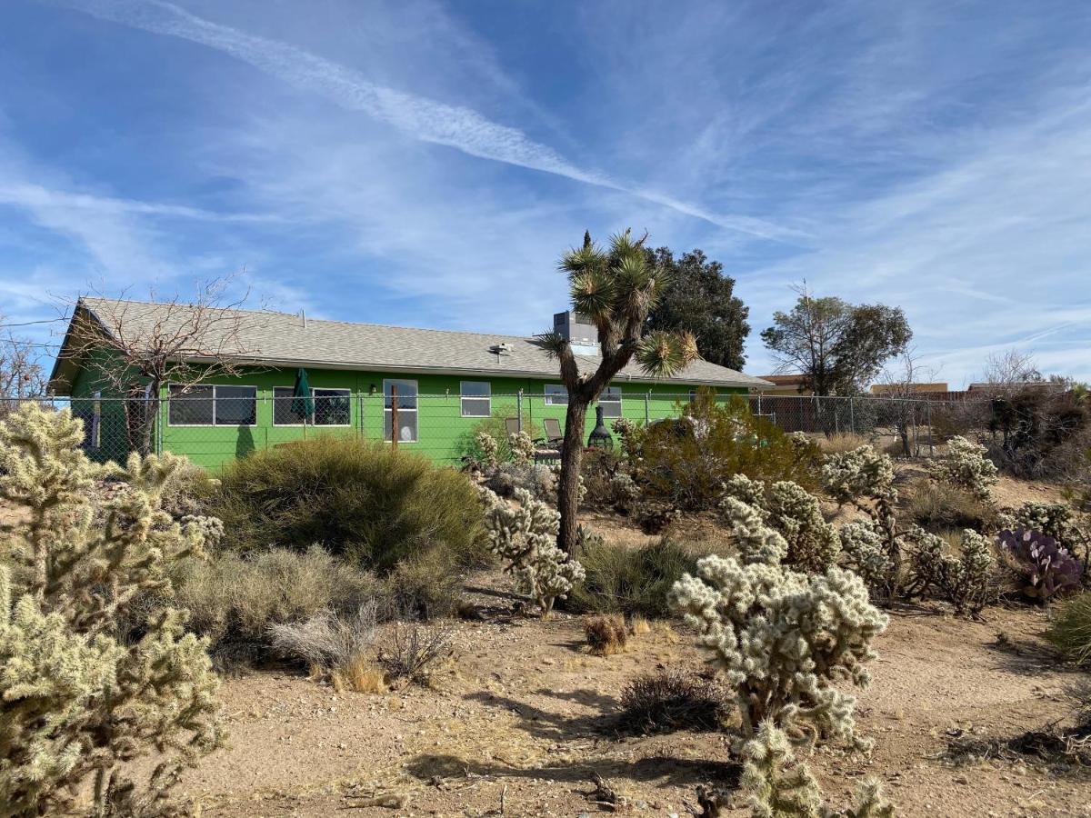Desert Oasis - Joshua Tree Peaceful Retreat Home Yucca Valley Exteriér fotografie